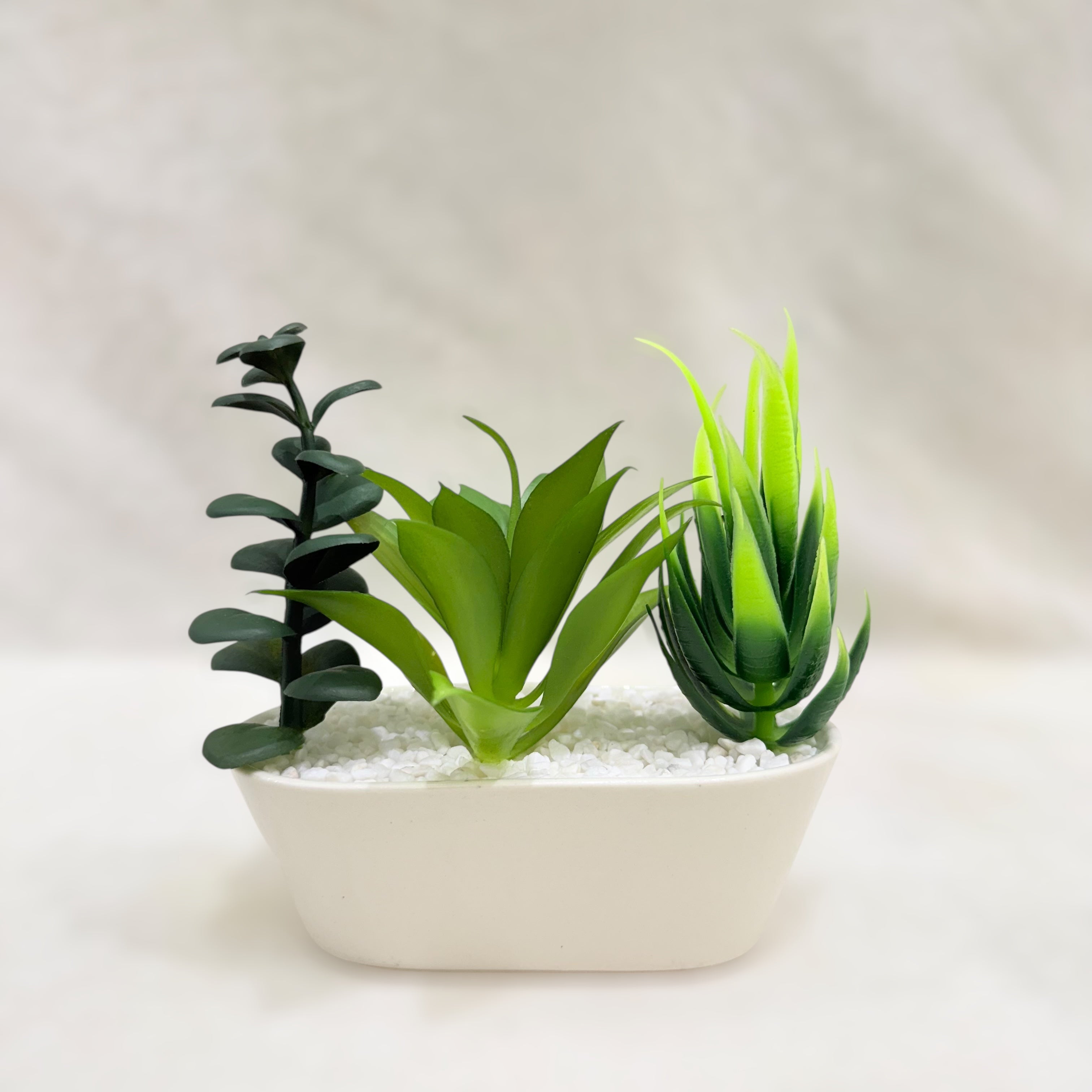 Elegant Duo Artificial Succulent Planter Set