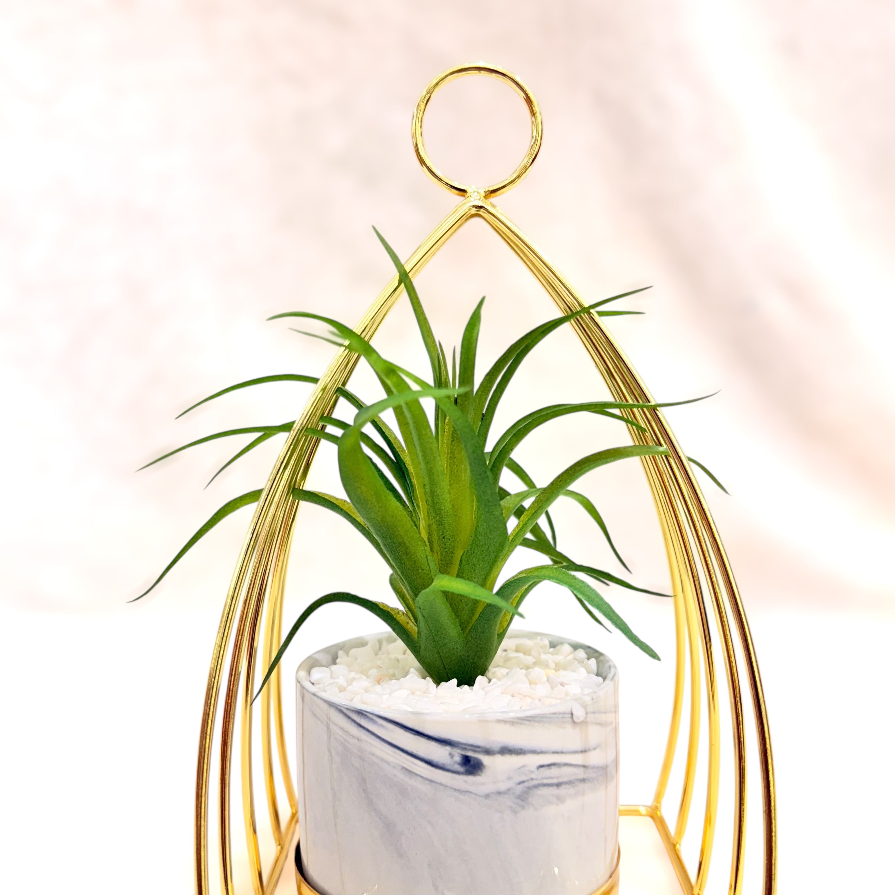 Golden Halo Duo Planters – Marble Pot Edition