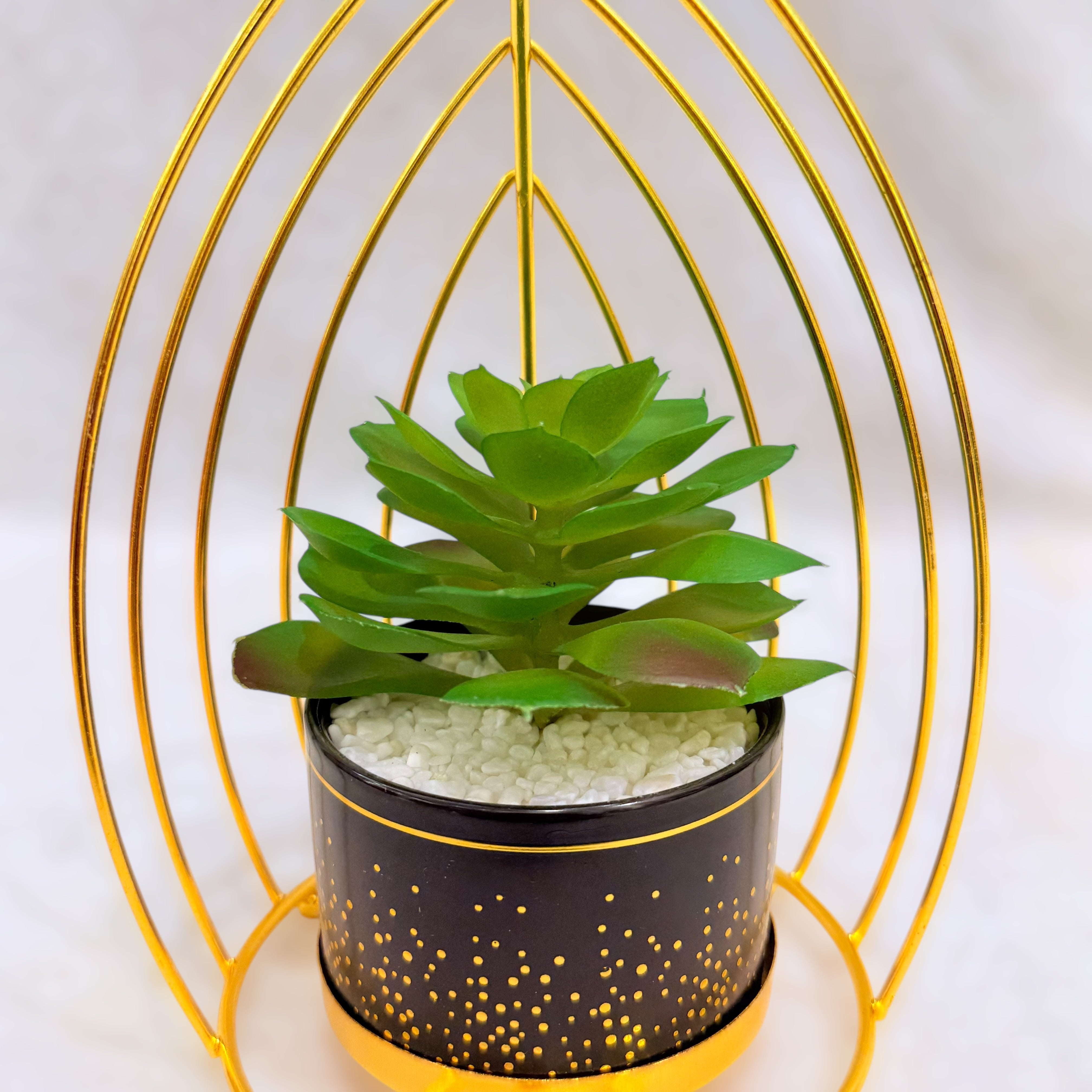 Artificial Succulent Plant Set - Printed