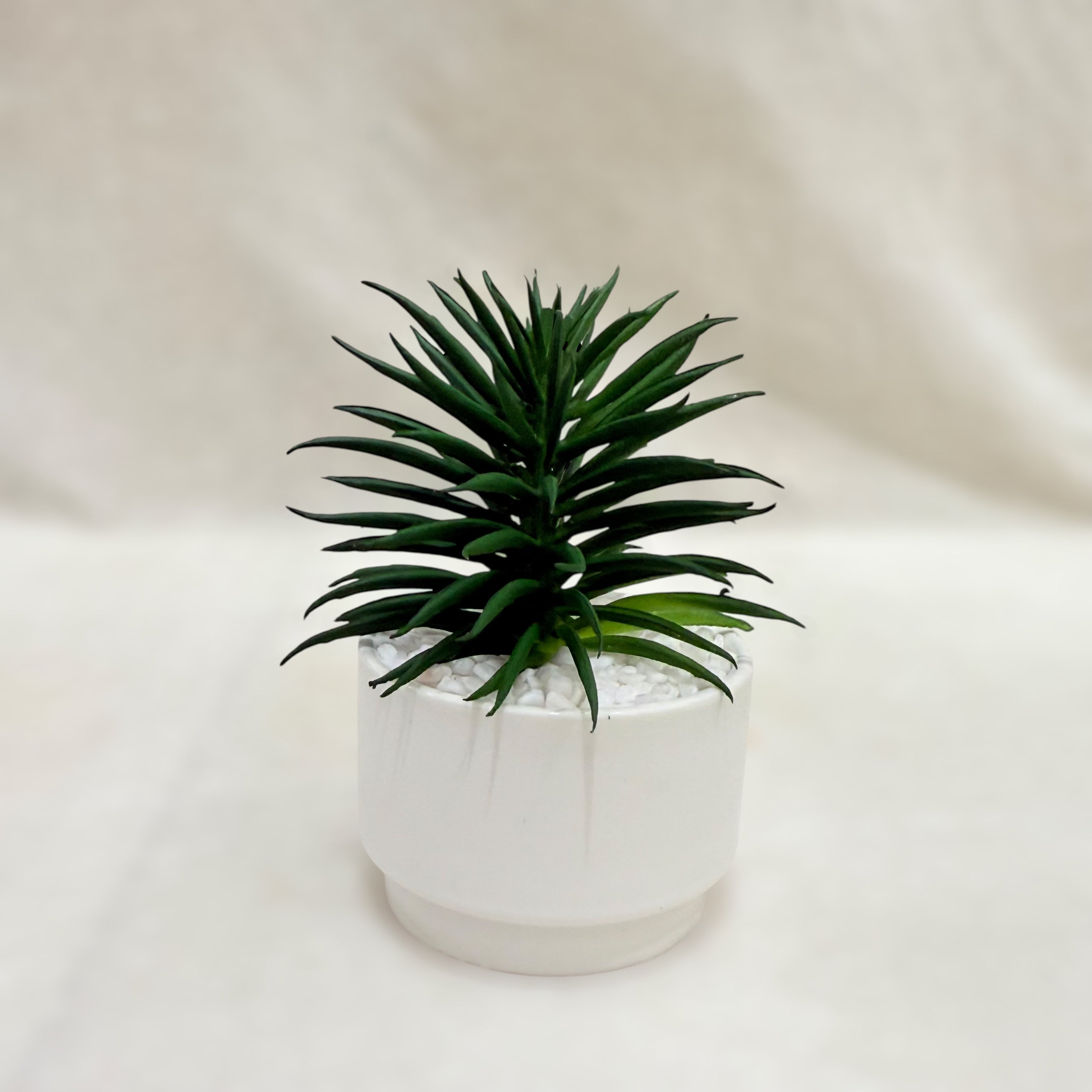 Mini Bliss Artificial Succulent Plant Set