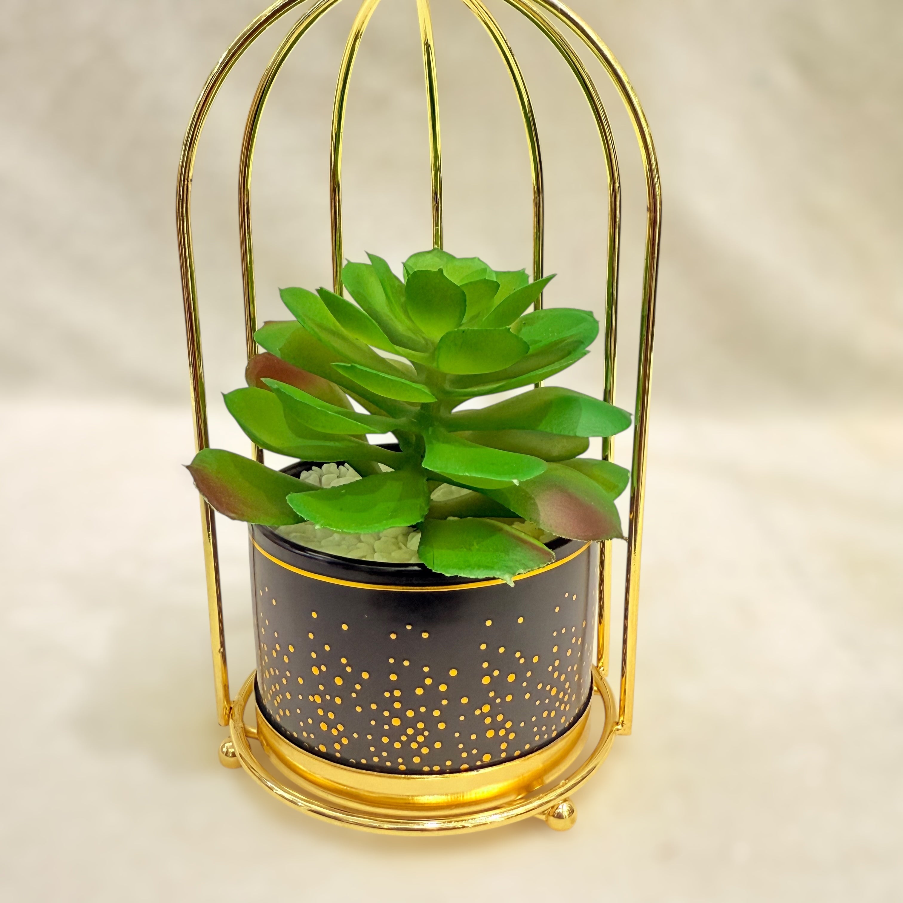 Artificial Succulent Plant Set - Printed
