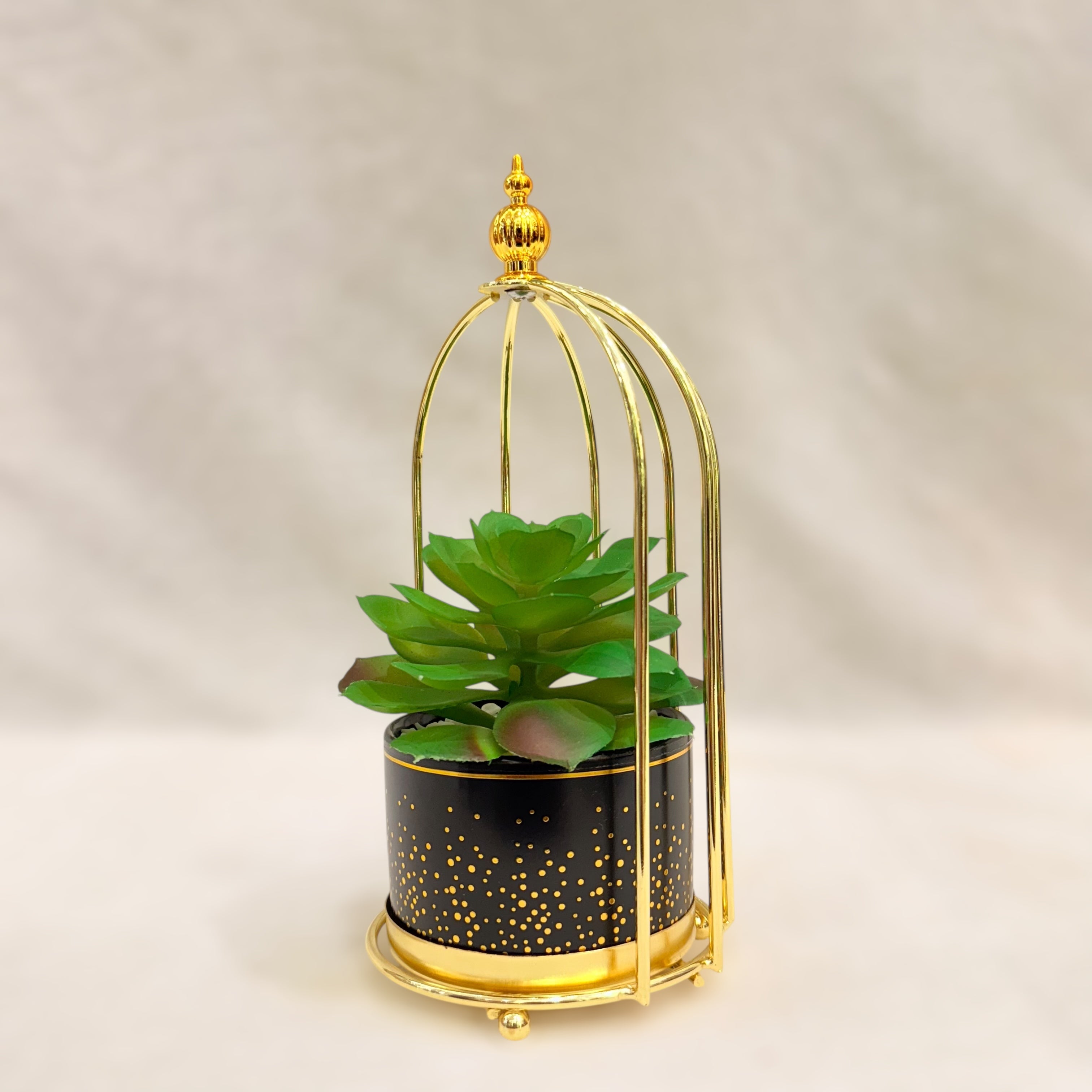Artificial Succulent Plant Set - Printed