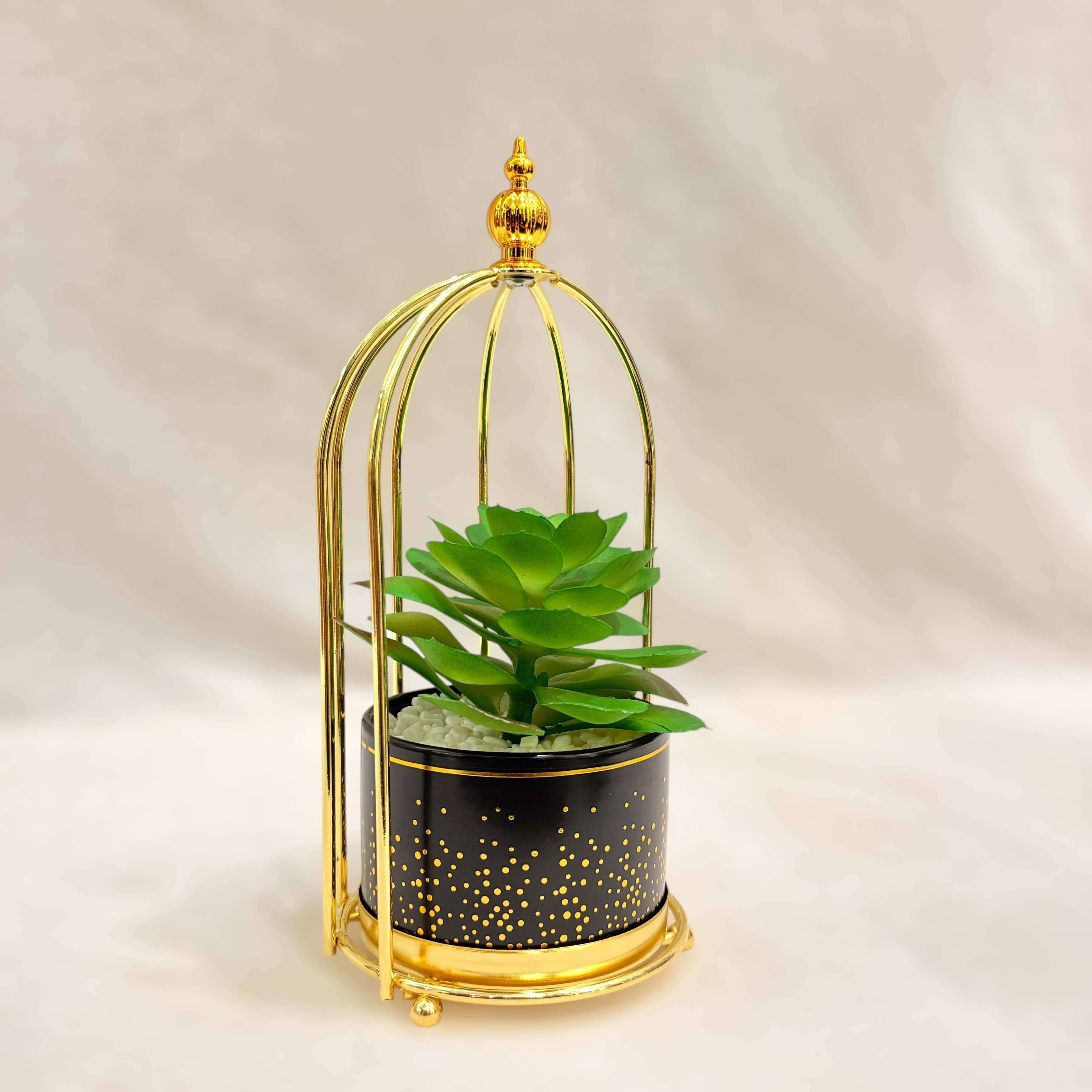 Artificial Succulent Plant Set - Printed