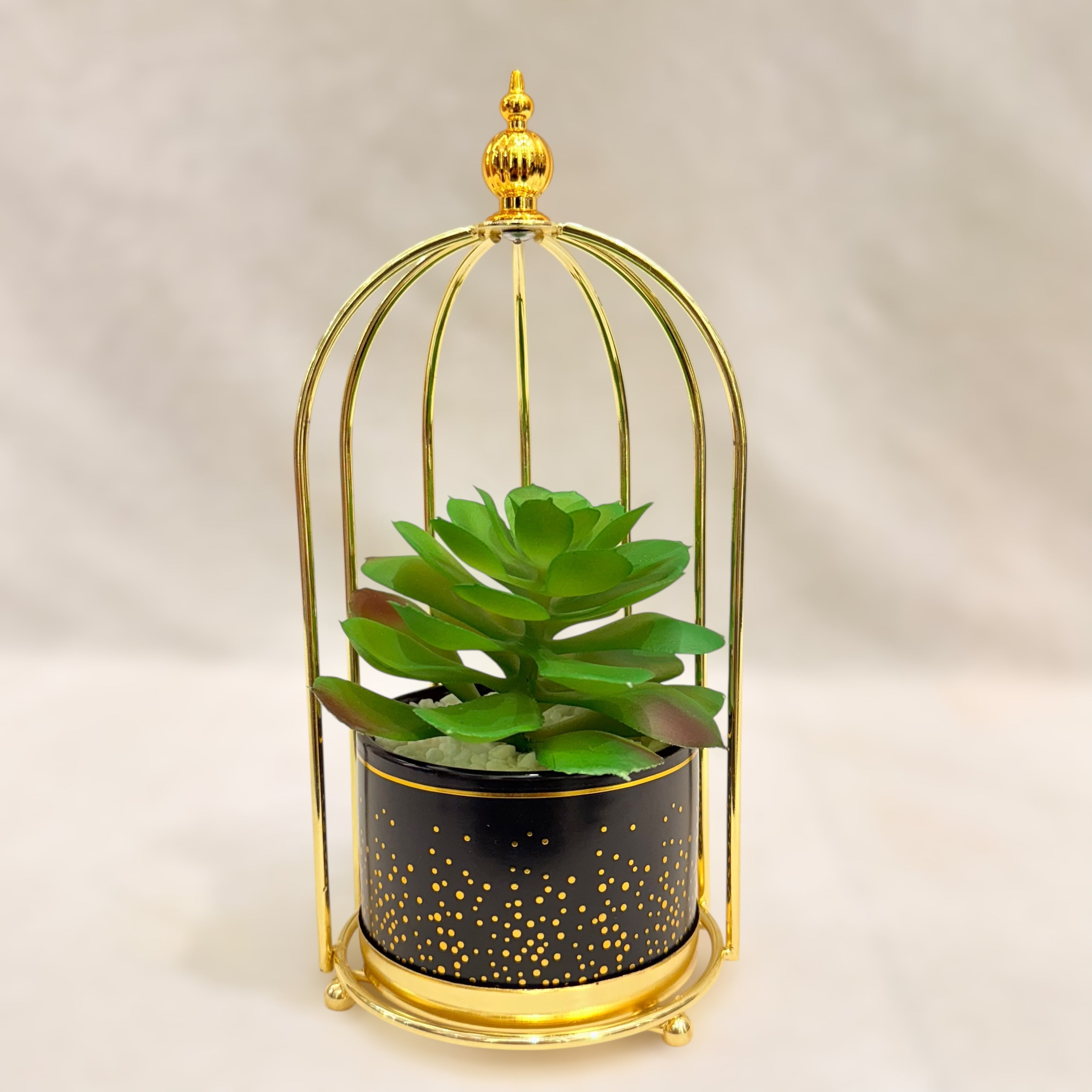Artificial Succulent Plant Set - Printed