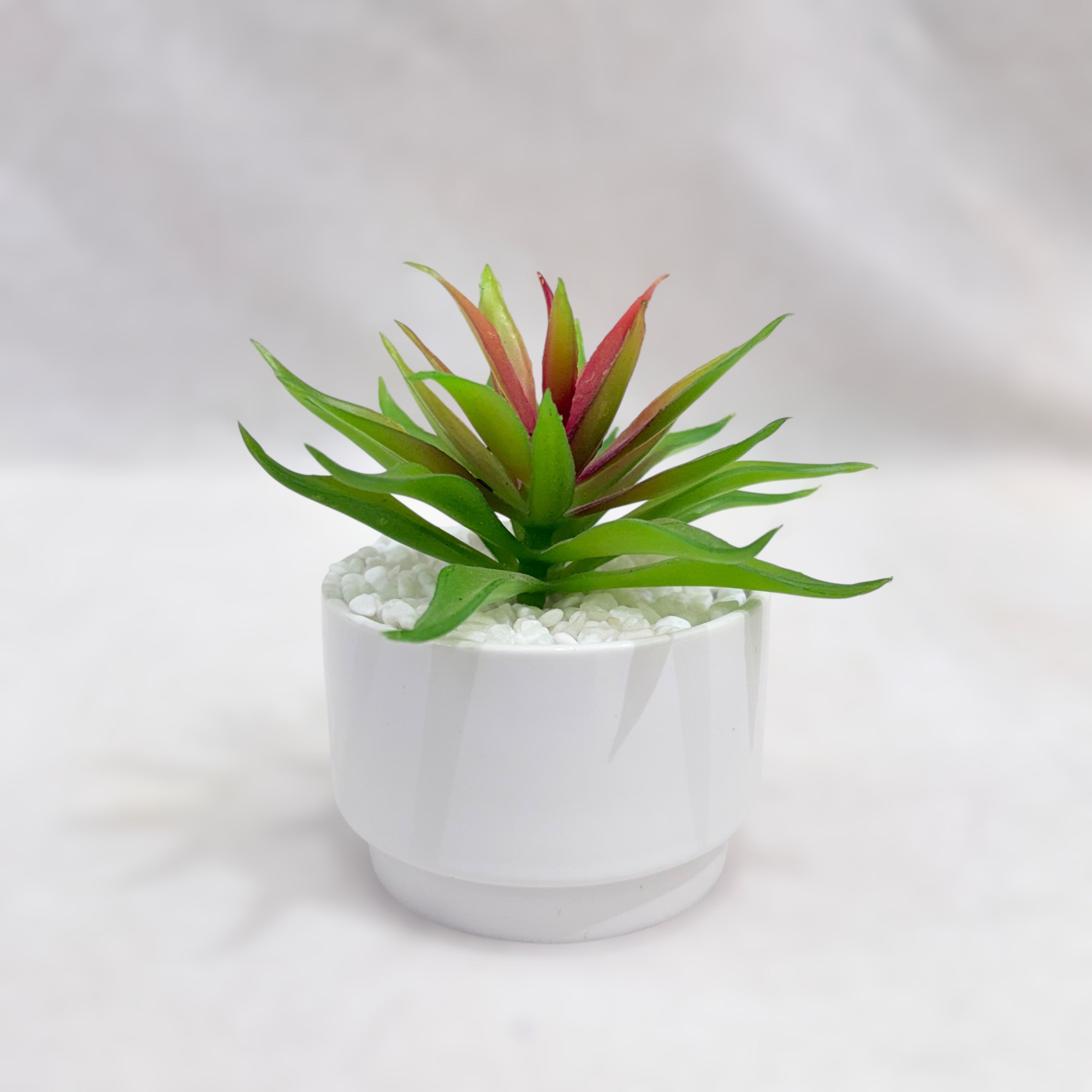 Mini Bliss Artificial Succulent Plant Set