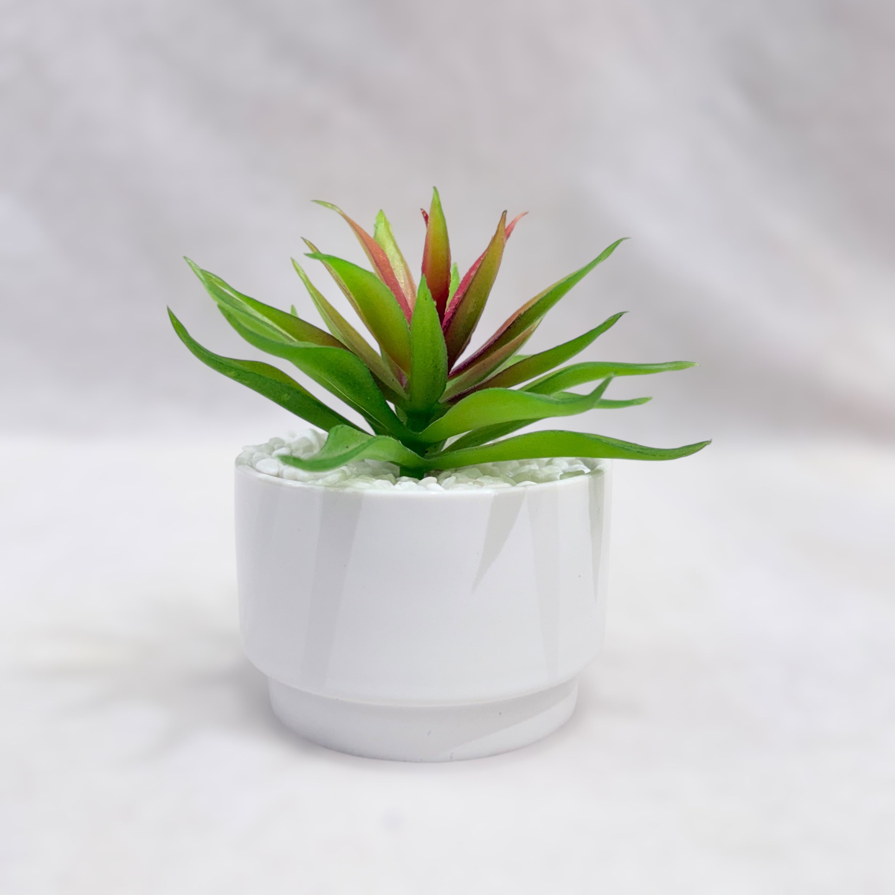 Mini Bliss Artificial Succulent Plant Set