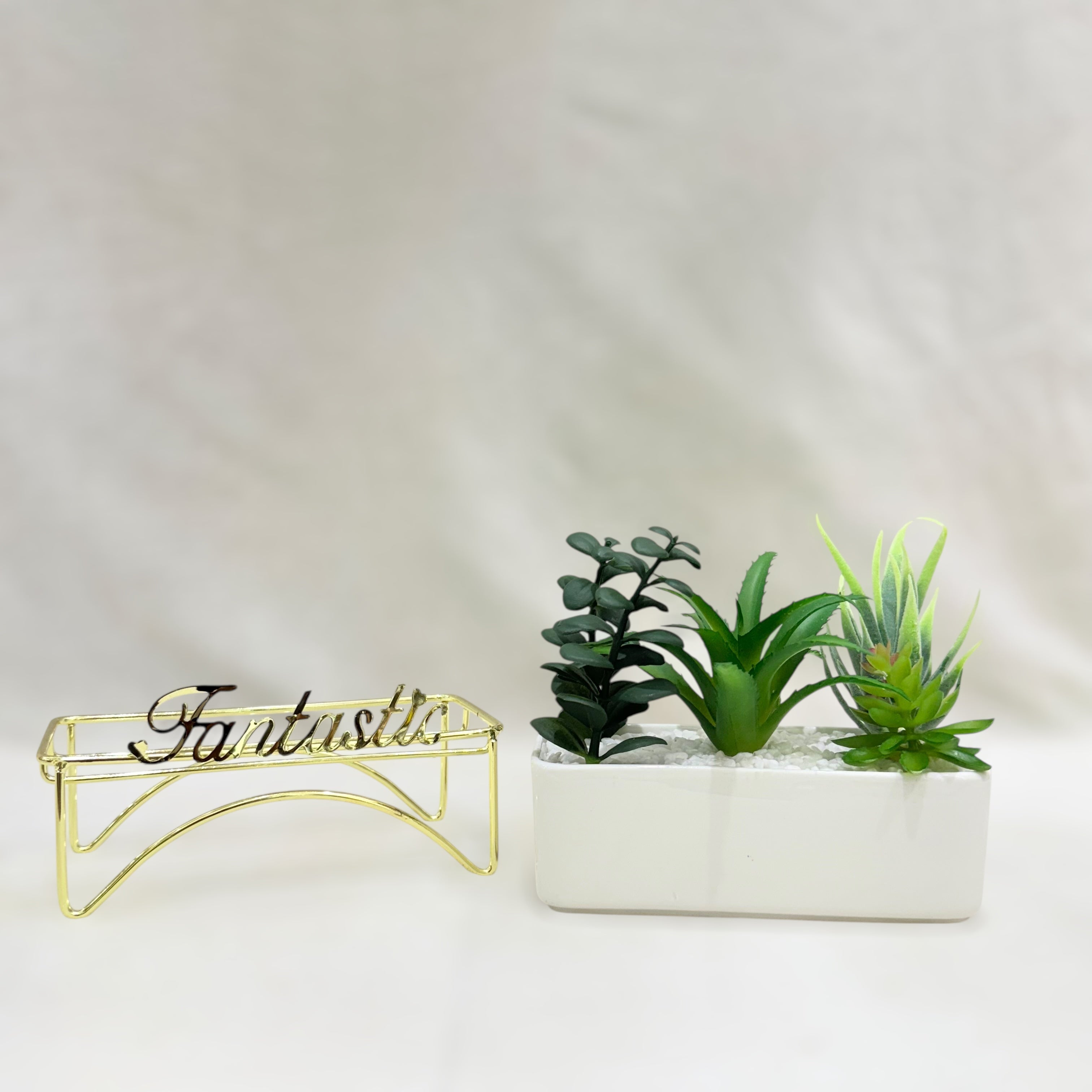 Fantastic Elegance Artificial Succulent