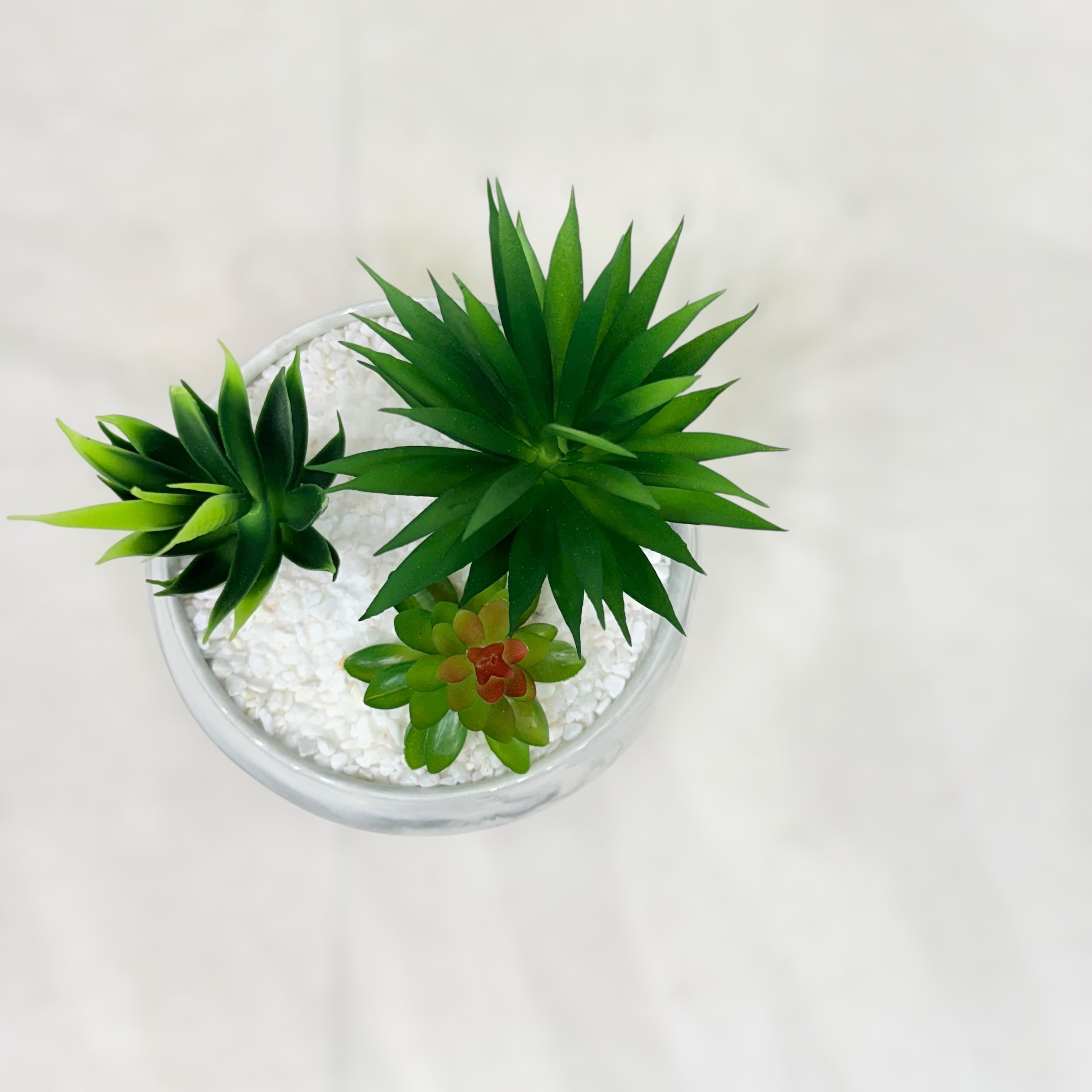 Deluxe Artificial Succulent Arrangement - Small