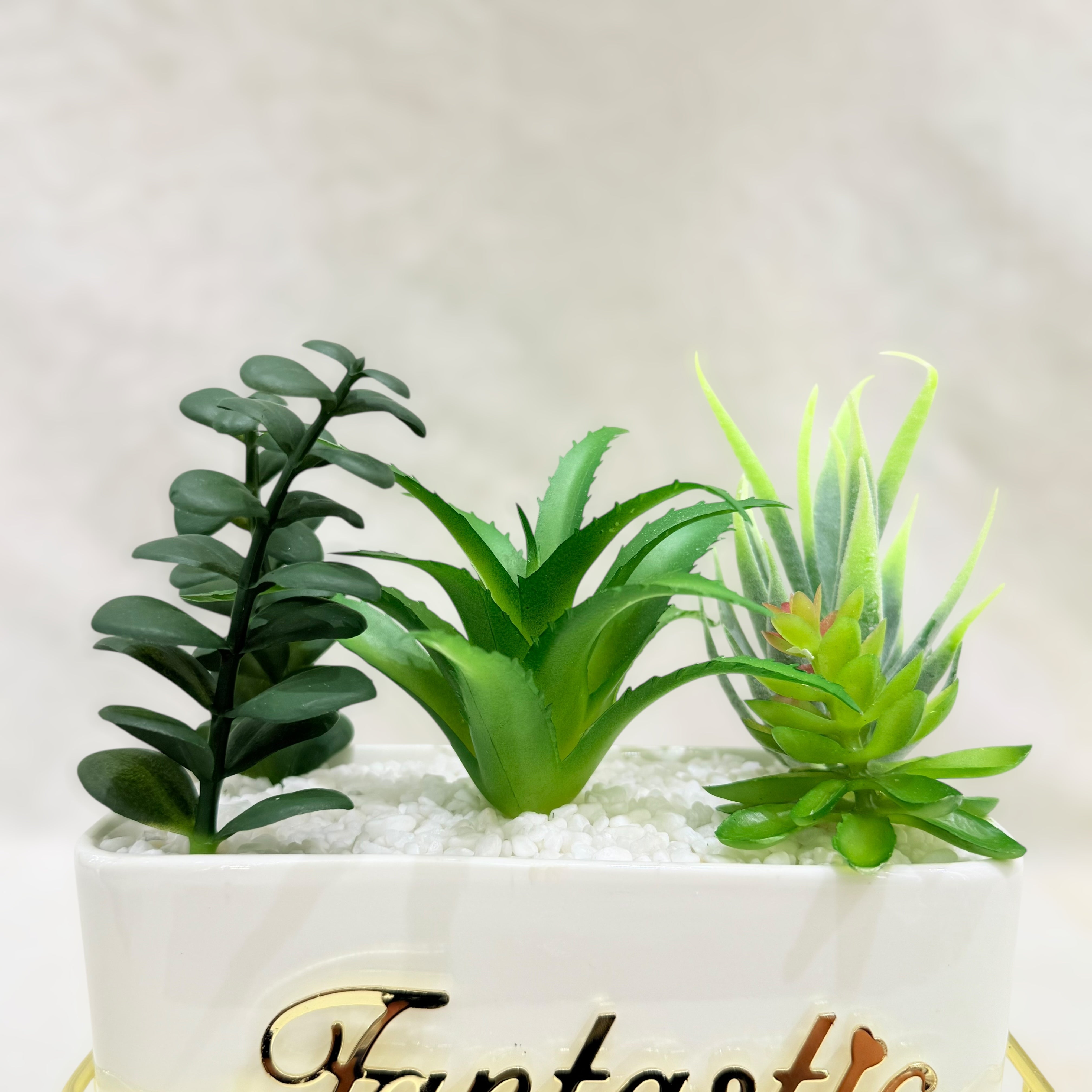 Fantastic Elegance Artificial Succulent