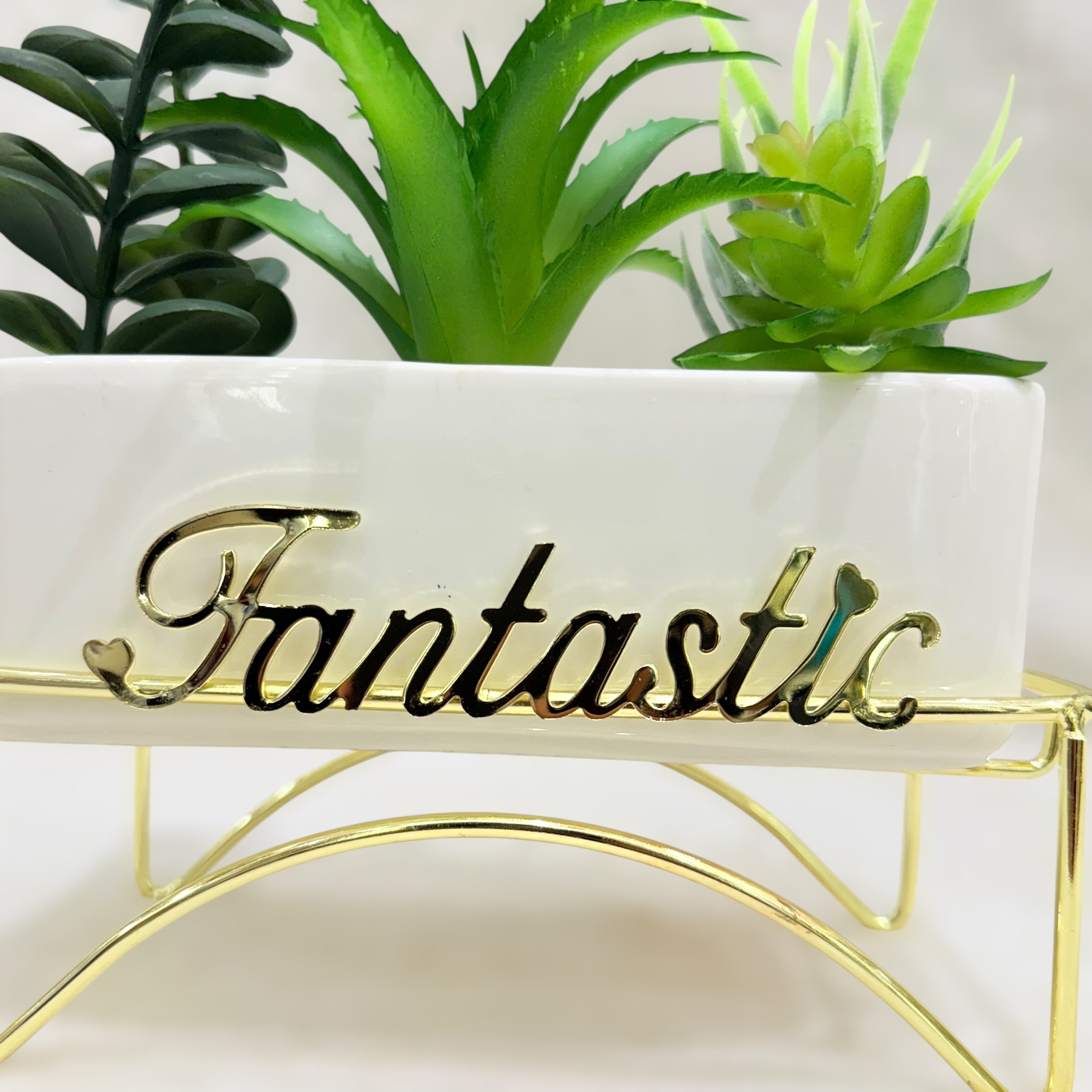 Fantastic Elegance Artificial Succulent
