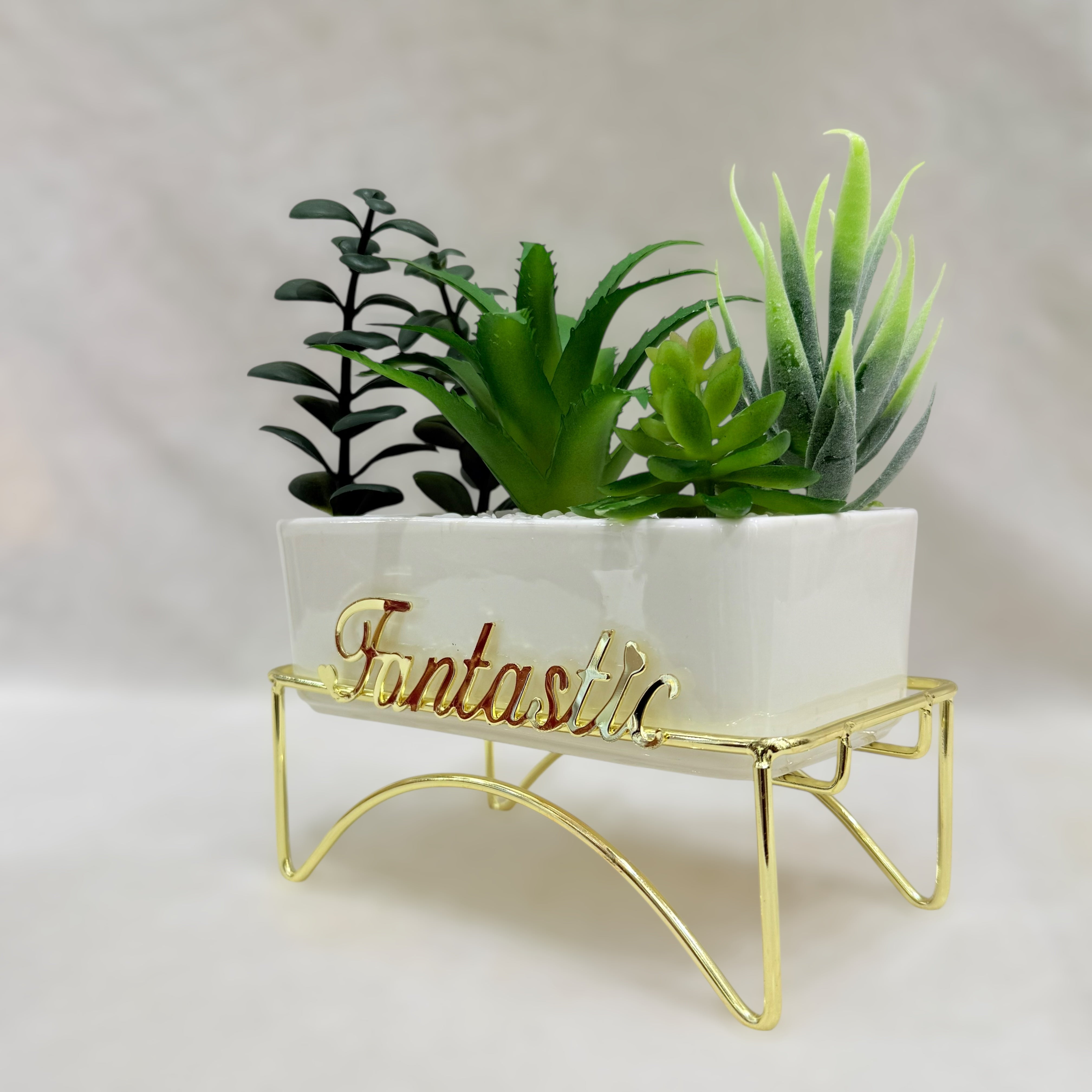 Fantastic Elegance Artificial Succulent