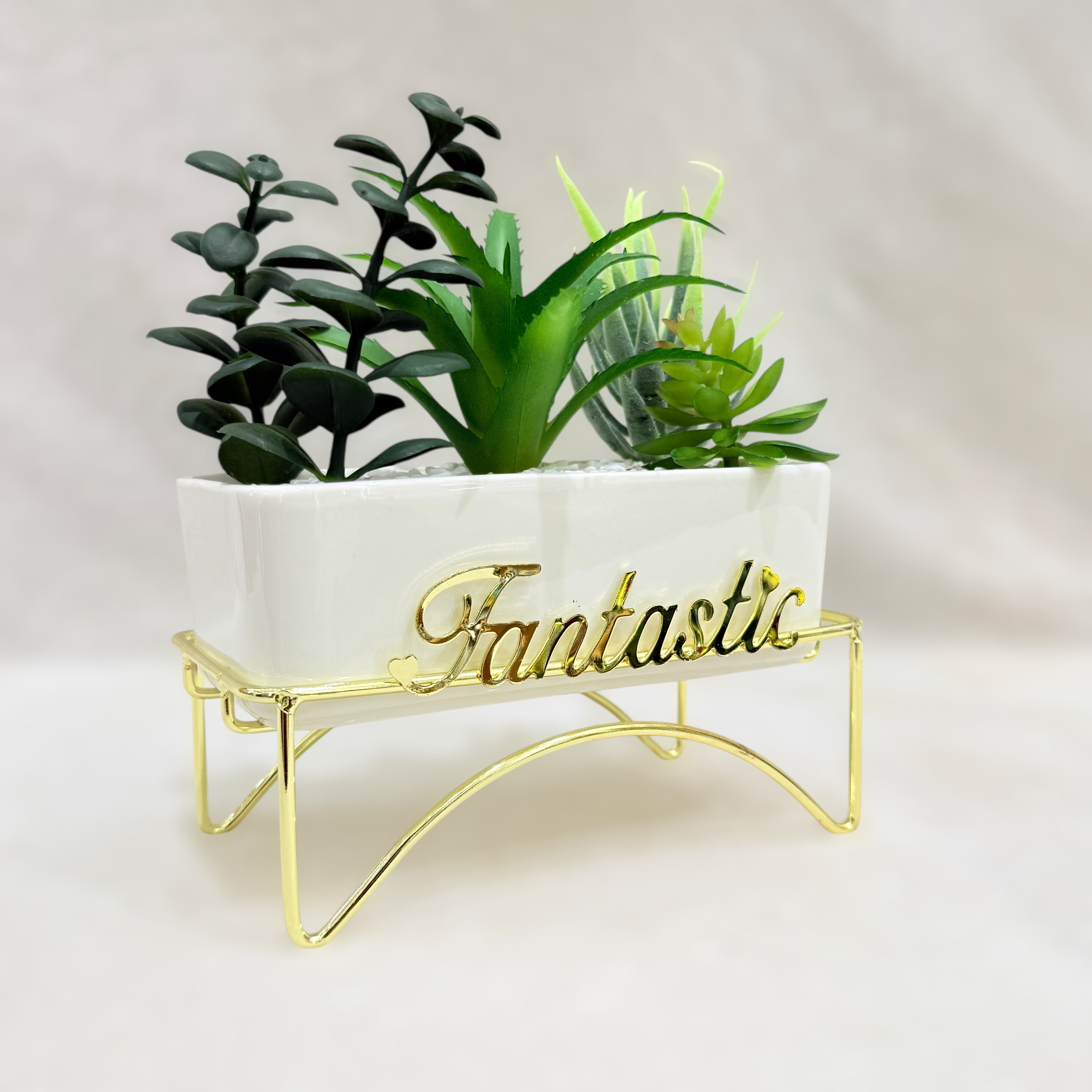 Fantastic Elegance Artificial Succulent